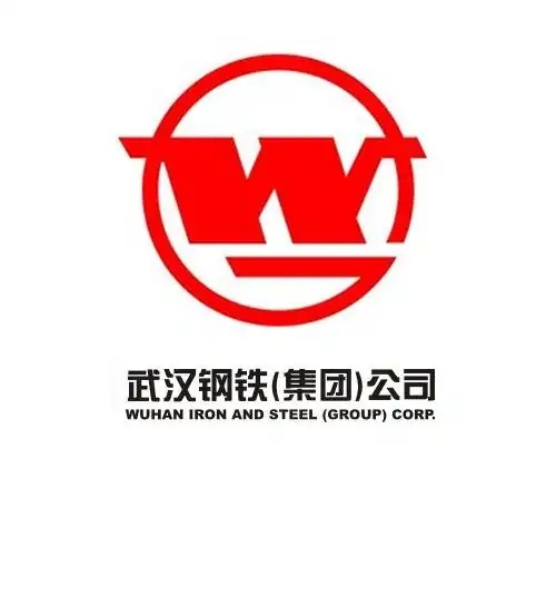 武汉钢铁(集团)公司 logo